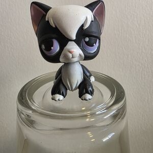 ✨️ANGORA CAT No #Puzzle Authentic Littlest Pet Shop LPS Purple Eyes